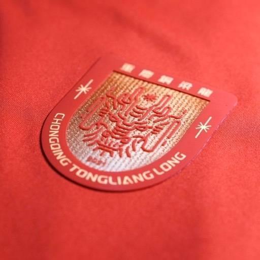 开云电竞账号-重庆铜梁龙公布教练组名单：刘建业挂帅，黄希扬转型担任助教